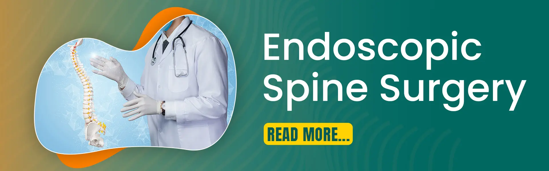 ENDOSCOPY SPINE Slide